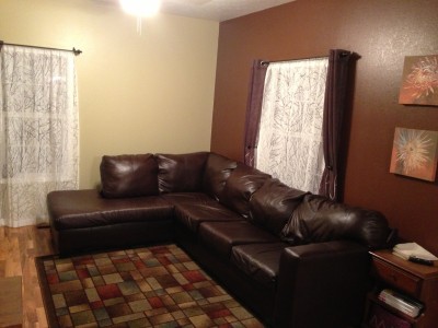 The new couch via craigslist